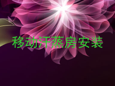 移动汗蒸房安装