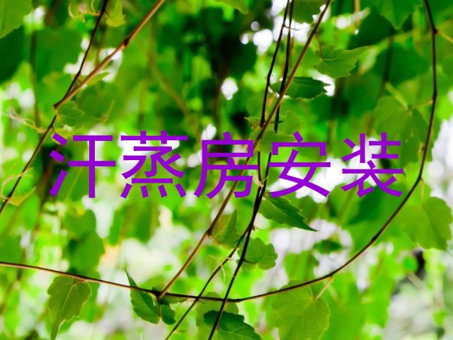 汗蒸房安装