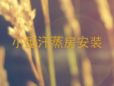小型汗蒸房安装