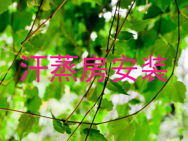 汗蒸房安装