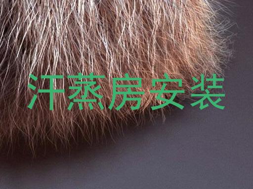 汗蒸房安装