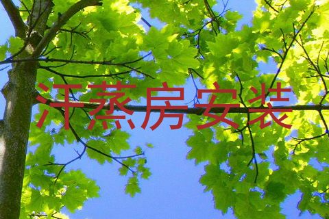 汗蒸房安装