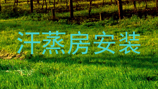 汗蒸房安装