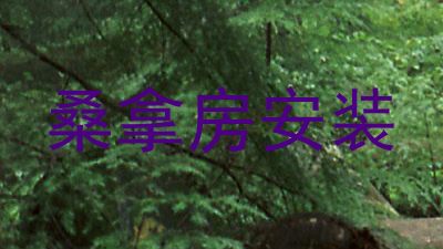 桑拿房安装