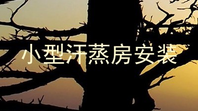 小型汗蒸房安装