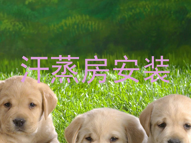 汗蒸房安装
