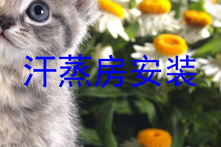 汗蒸房安装