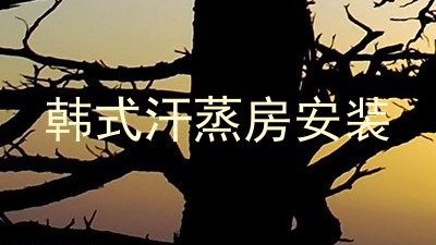韩式汗蒸房安装