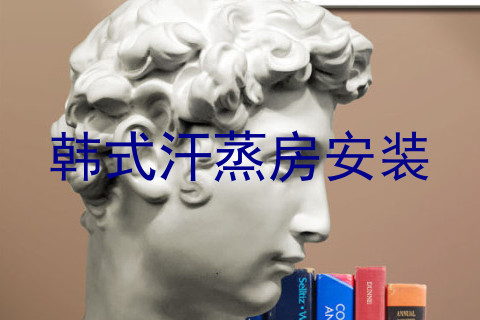 韩式汗蒸房安装