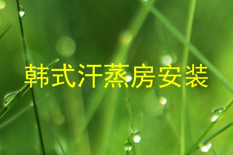 韩式汗蒸房安装
