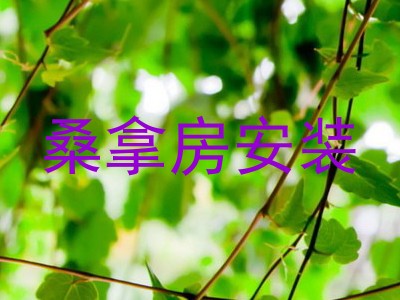 桑拿房安装