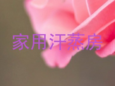 家用汗蒸房