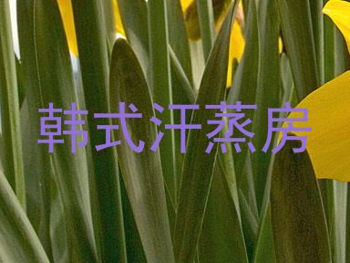 韩式汗蒸房