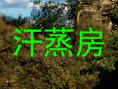 汗蒸房