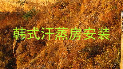 韩式汗蒸房安装