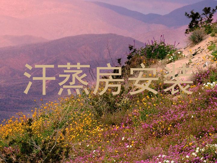 汗蒸房安装
