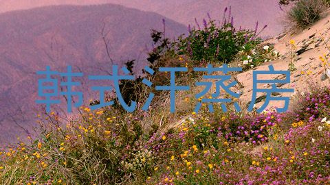 韩式汗蒸房