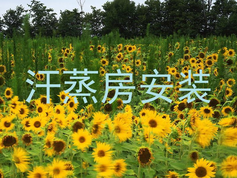 汗蒸房安装