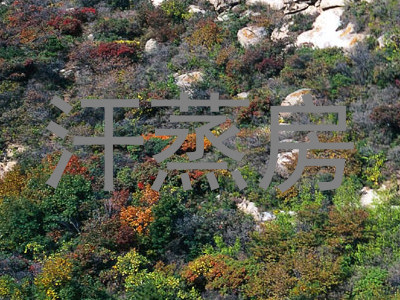 汗蒸房