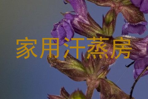 家用汗蒸房