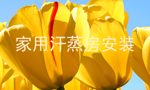 家用汗蒸房安装