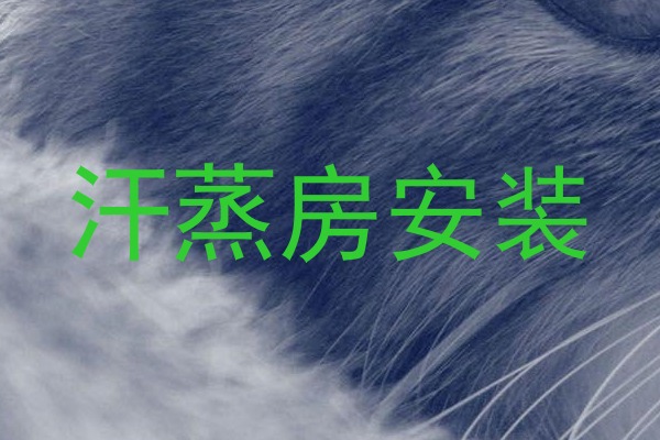 汗蒸房安装