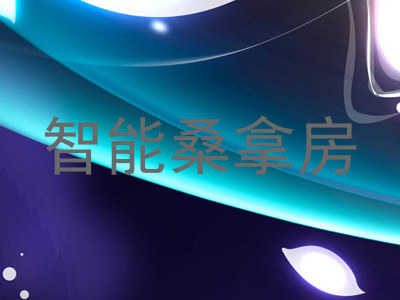 智能桑拿房