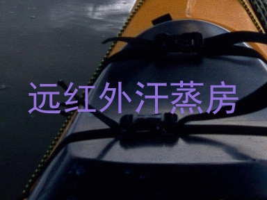 远红外汗蒸房