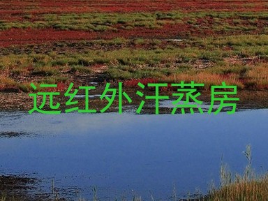 远红外汗蒸房