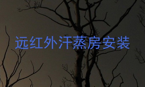 远红外汗蒸房安装