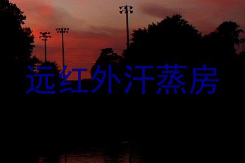 远红外汗蒸房