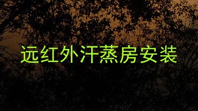 远红外汗蒸房安装