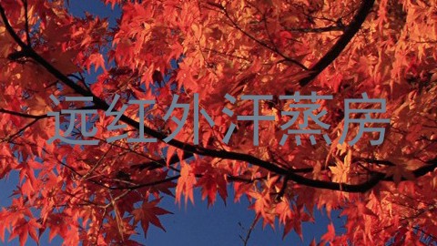 远红外汗蒸房