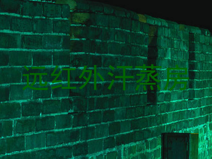 远红外汗蒸房