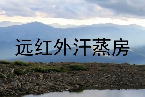 远红外汗蒸房