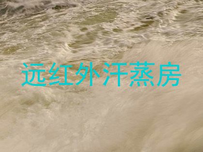远红外汗蒸房