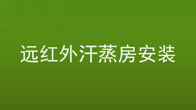 远红外汗蒸房安装
