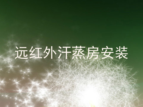 远红外汗蒸房安装