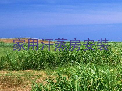 家用汗蒸房安装