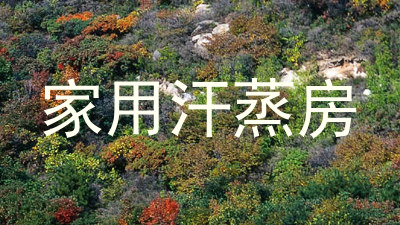 家用汗蒸房