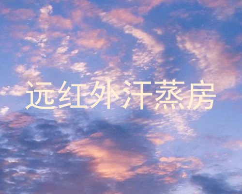 远红外汗蒸房