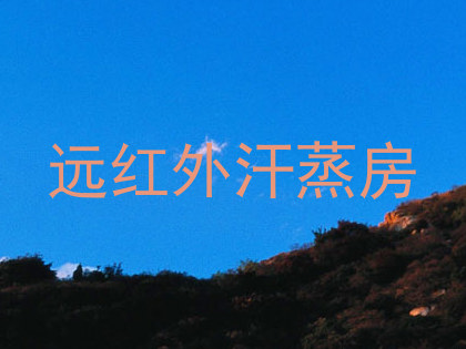 远红外汗蒸房