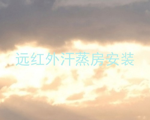 远红外汗蒸房安装