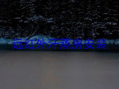 远红外汗蒸房安装