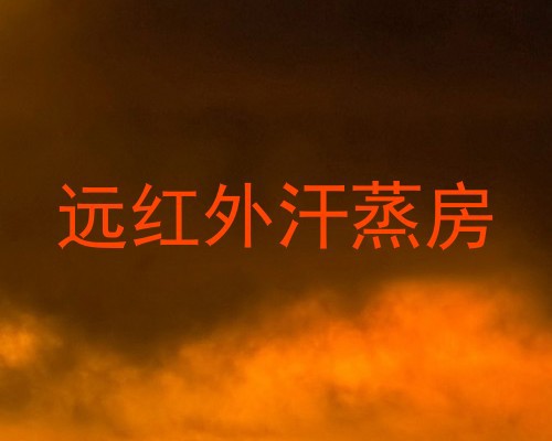 远红外汗蒸房