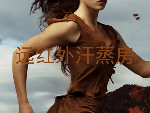 远红外汗蒸房
