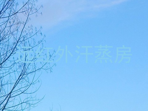 远红外汗蒸房
