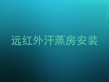 远红外汗蒸房安装