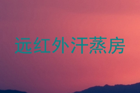 远红外汗蒸房