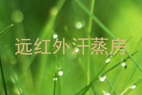 远红外汗蒸房